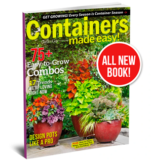 ContainerBook