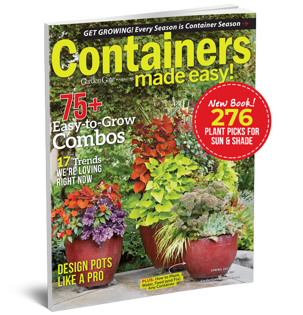 Containers-Made-Easy-SIB-2021