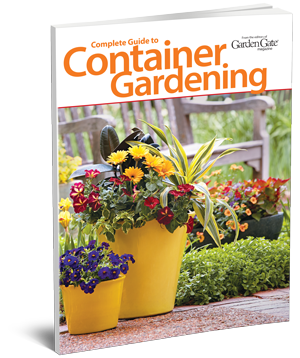 POD_ContainerGardening_3D-1