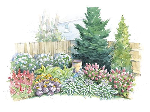 Small plan graphic_backyard border