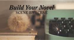 Build Your Novel Scene by Scene